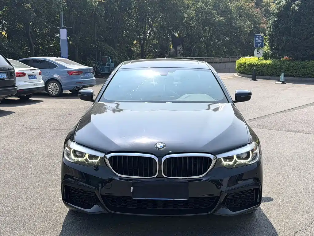 BMW 5 Series — миниатюра 2