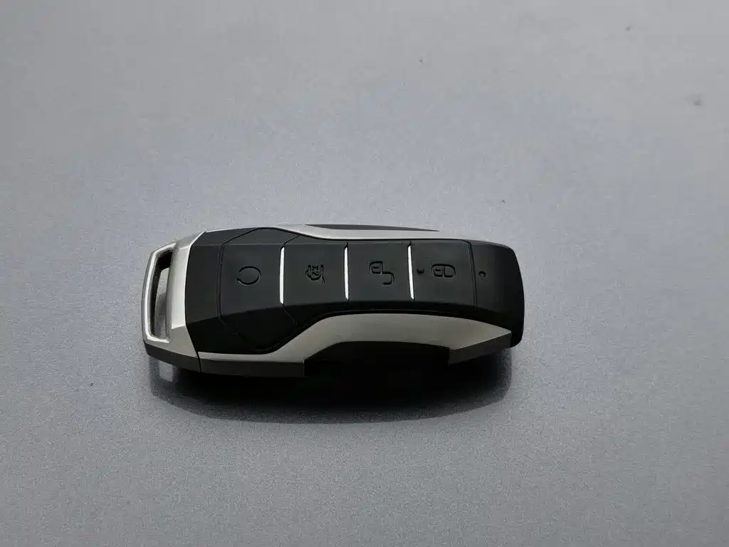 BYD Pro — миниатюра 19