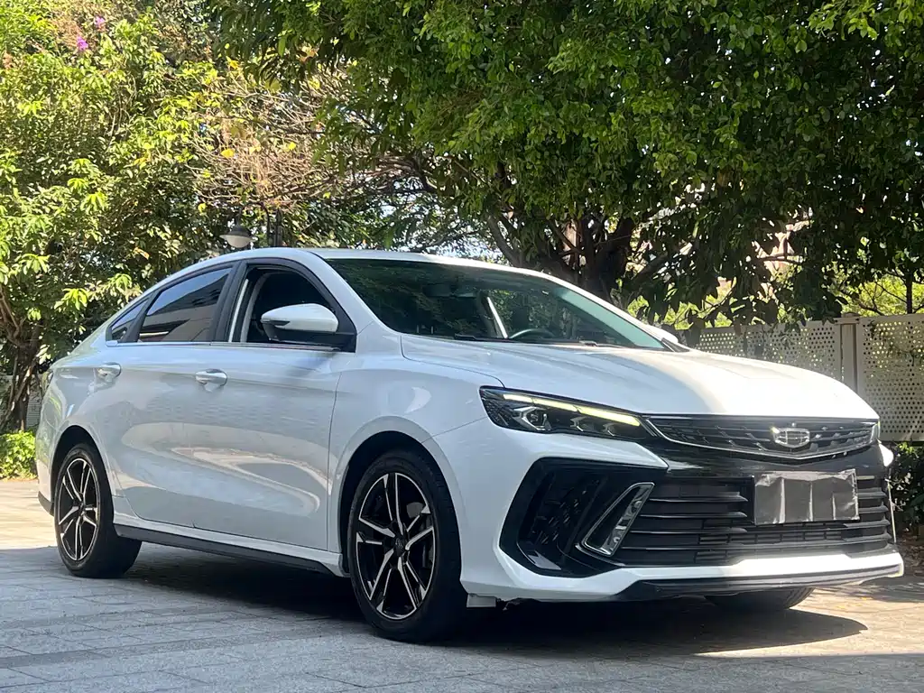 GEELY AUTOMOBILE BINRUI