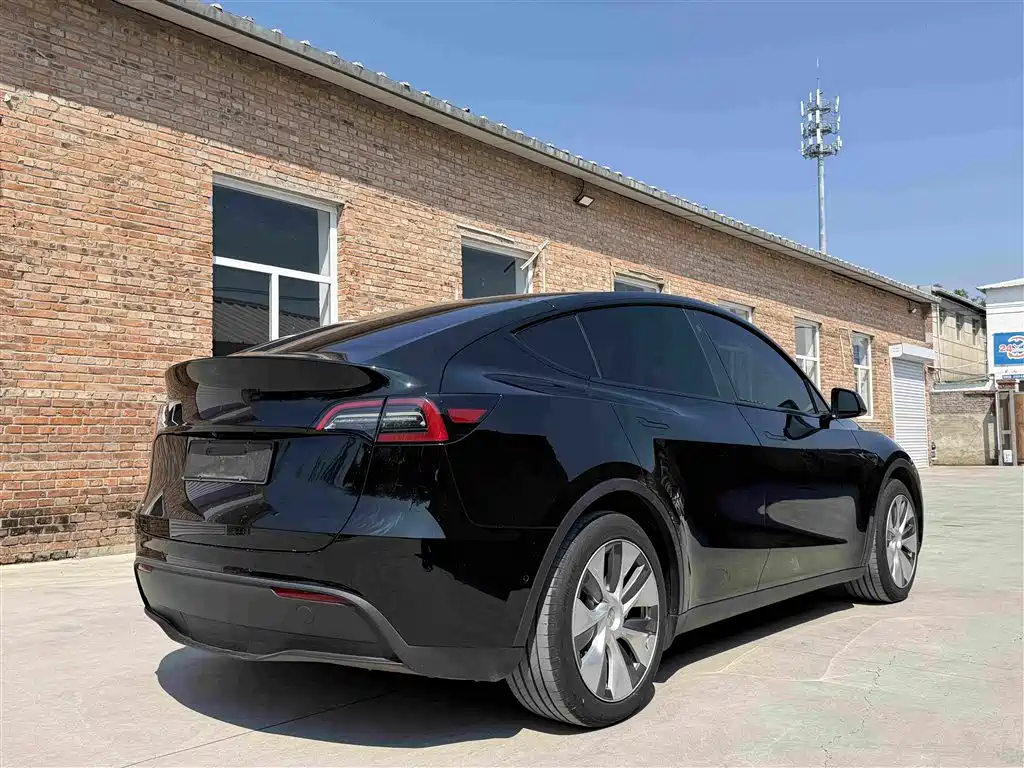 Tesla Model Y — миниатюра 21