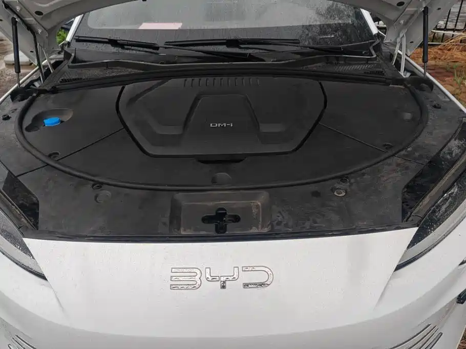 BYD PLUS New Energy — миниатюра 10
