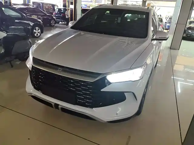 BYD SONGJIANG NEW ENERGY 2024
