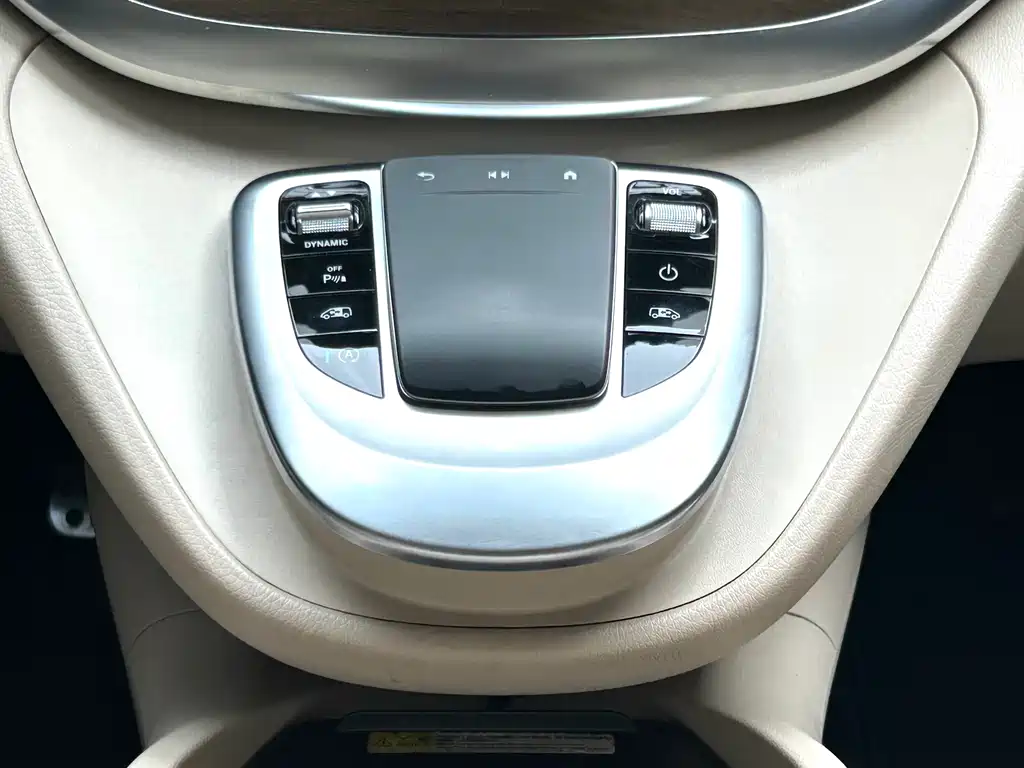 MERCEDES-BENZ V CLASS