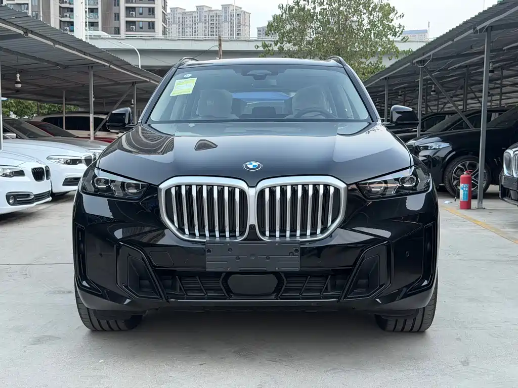BMW X5 — миниатюра 2