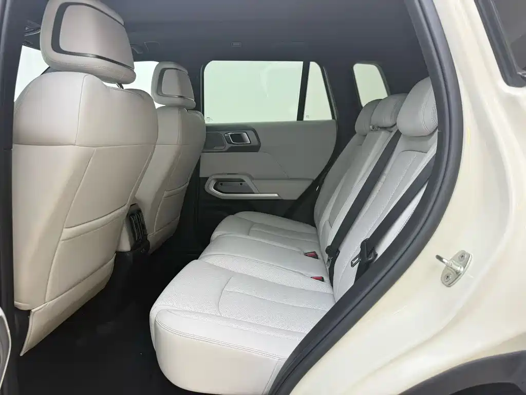 Fangchengbao Leopard 3 3 2025 501KM