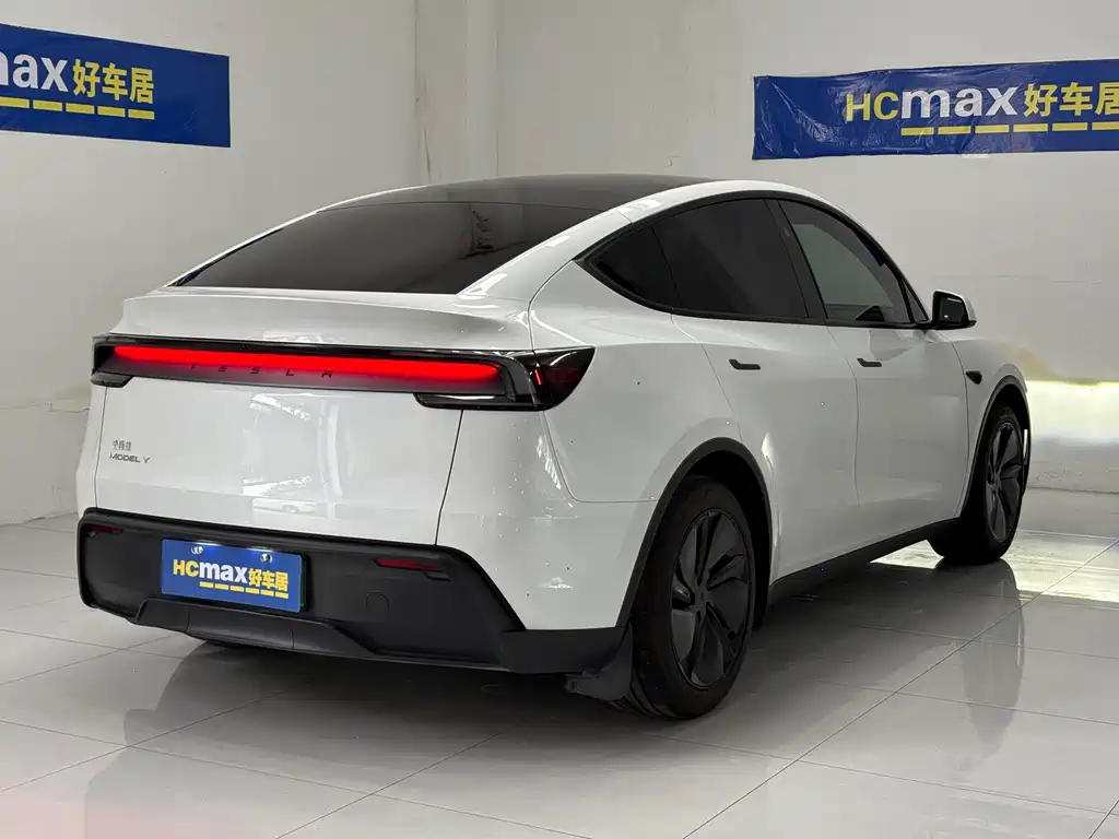 Tesla Model Y — миниатюра 4