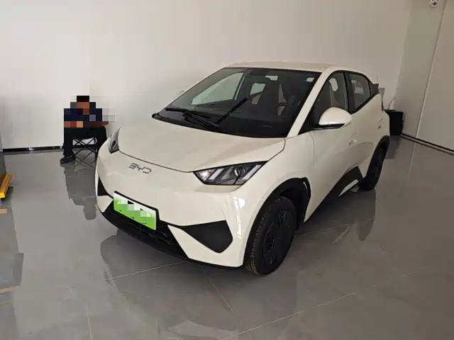 2026 BYD Seagull