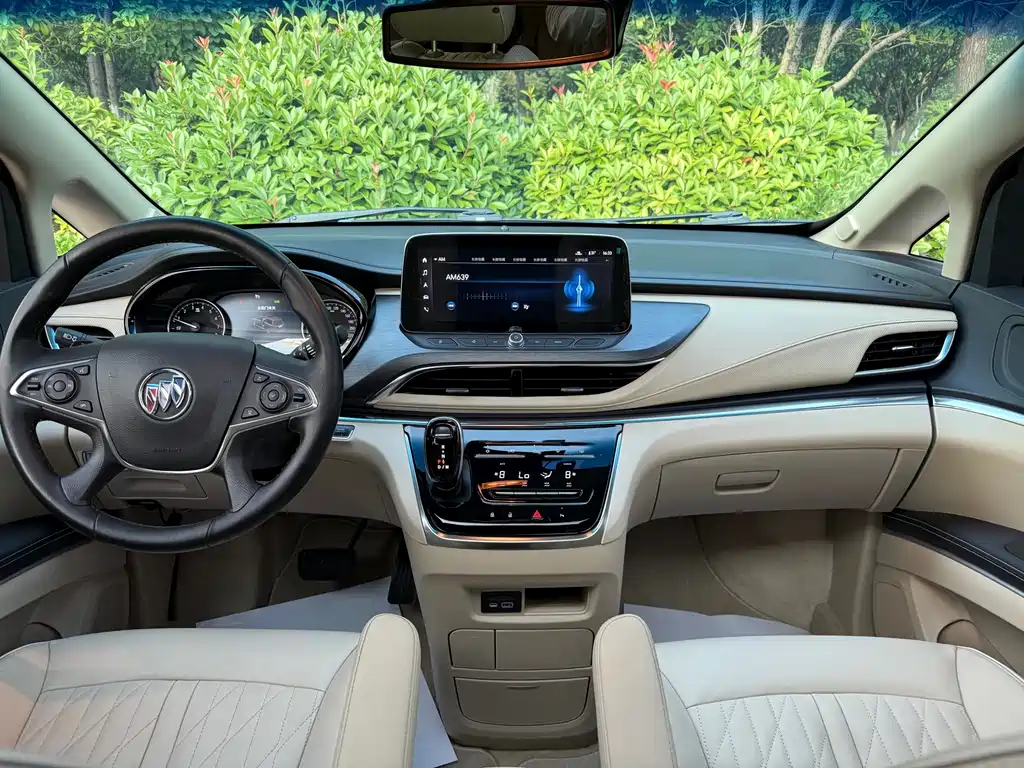 Buick GL8 — миниатюра 12