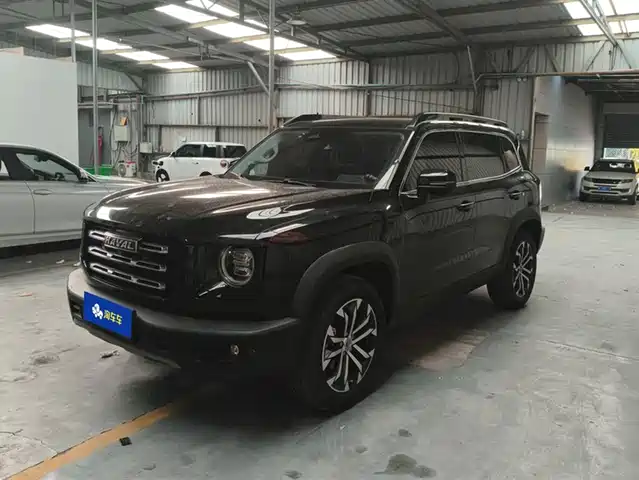 HAVAL BIG DOG