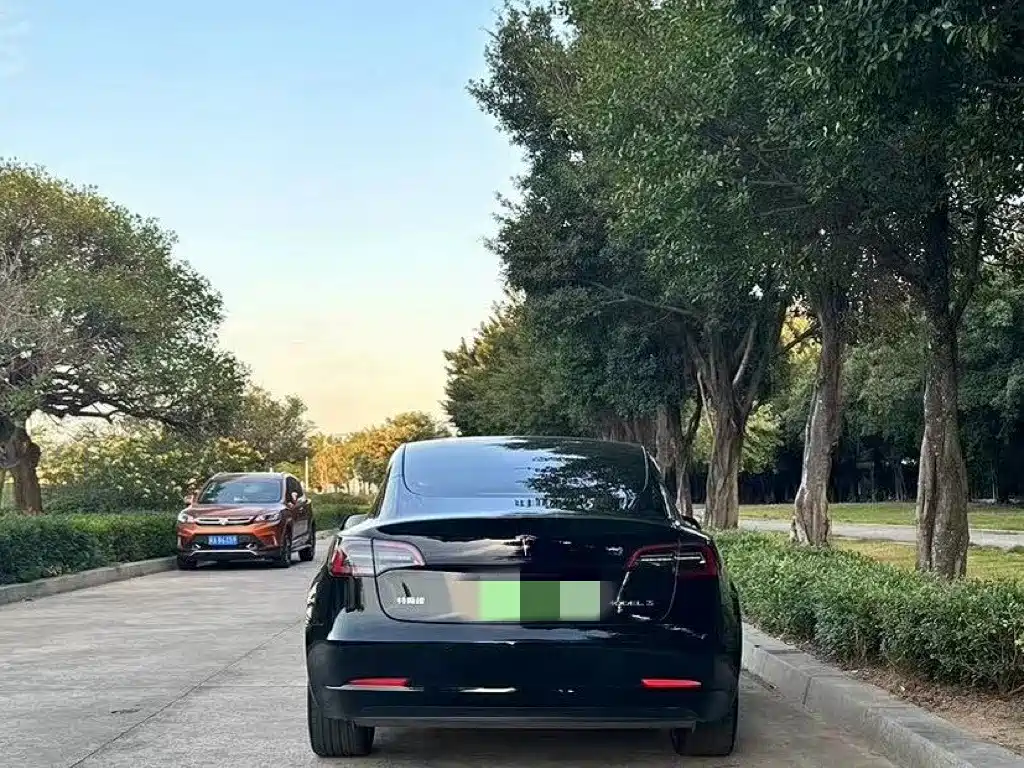 Tesla Model 3 — миниатюра 4