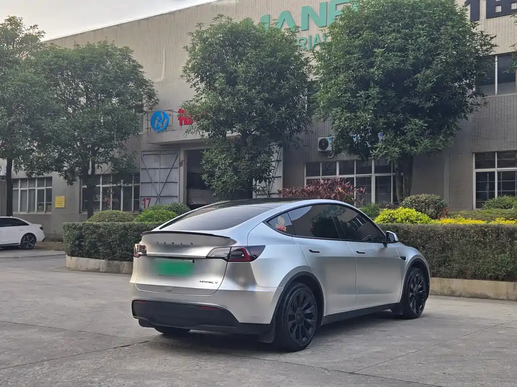 Tesla Model Y — миниатюра 6