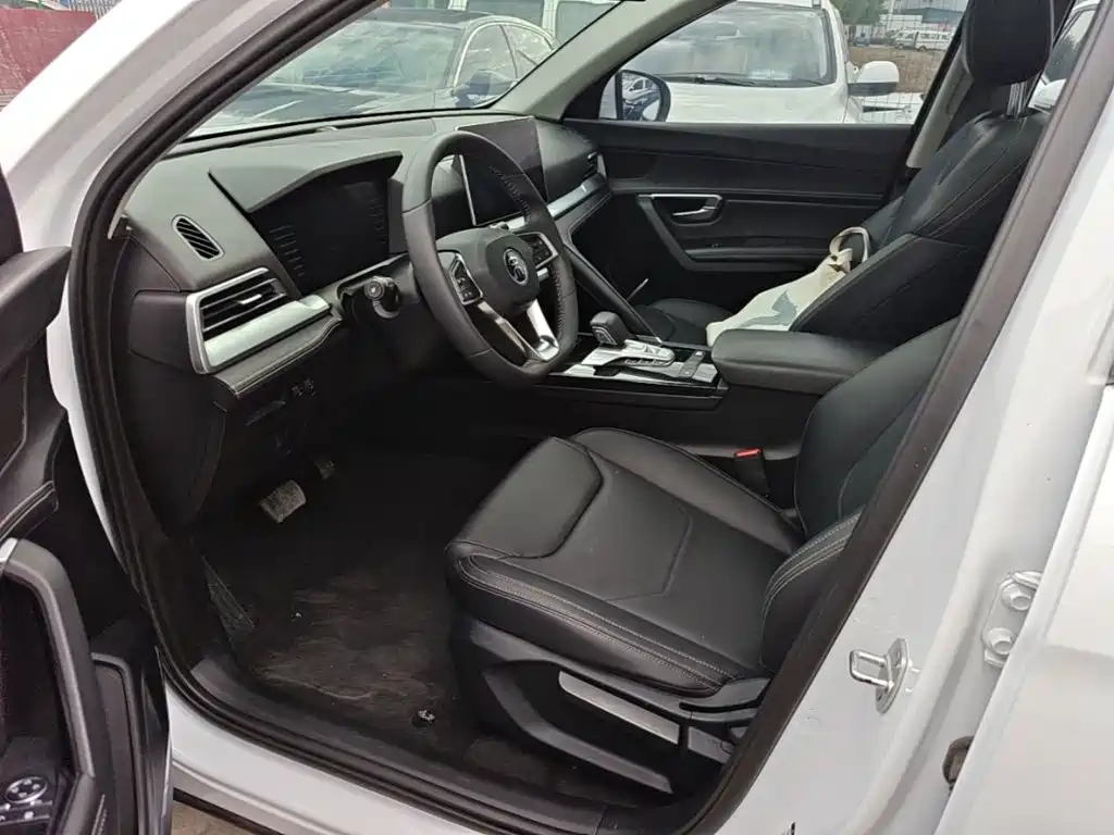 BYD Pro — миниатюра 15