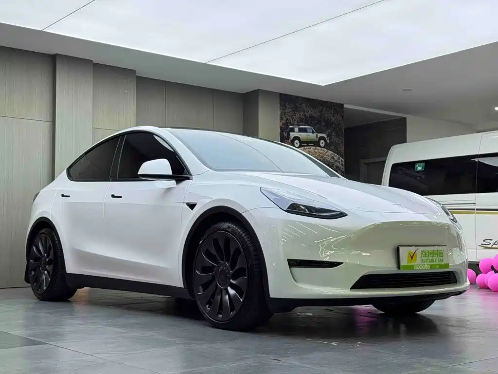 Tesla Model Y — миниатюра 3