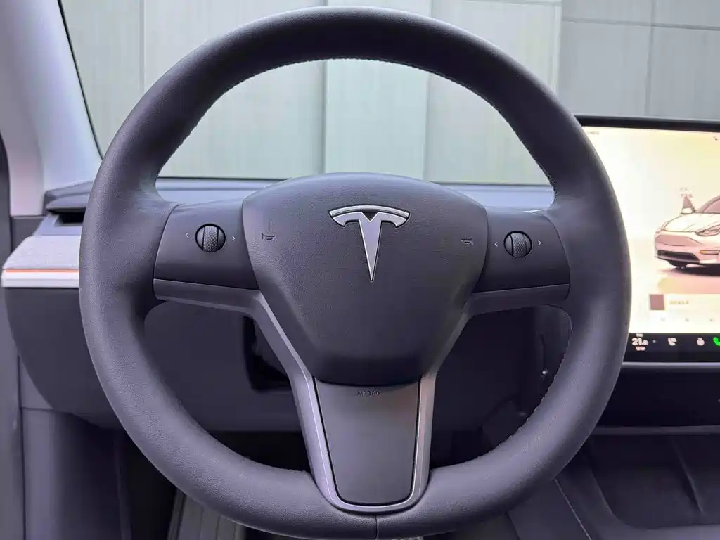 Tesla Model Y — миниатюра 11