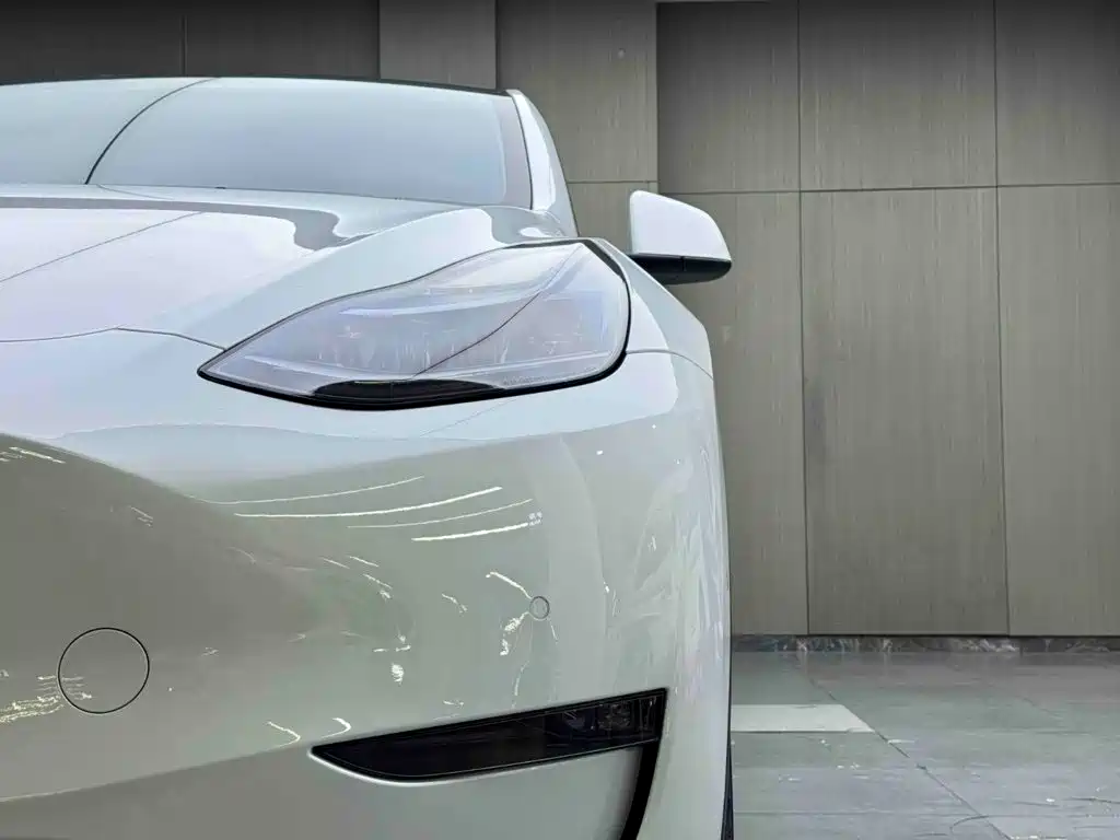 Tesla Model Y — миниатюра 7