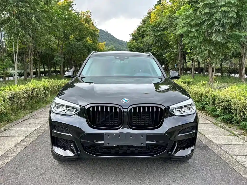 BMW X3 — миниатюра 2