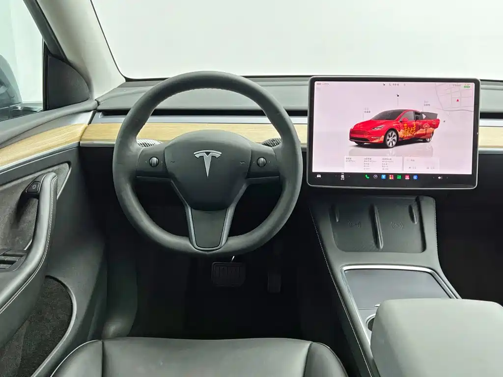 Tesla Model Y — миниатюра 20