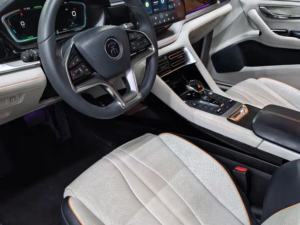 BYD PLUS New Energy — миниатюра 7
