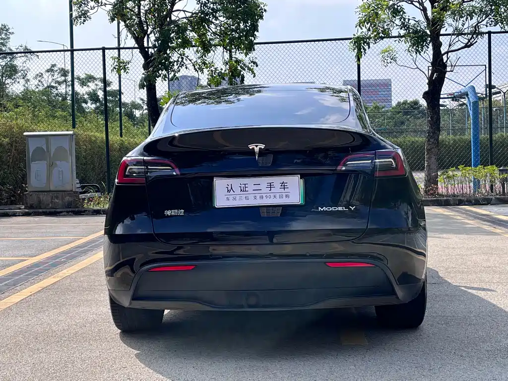 Tesla Model Y — миниатюра 10