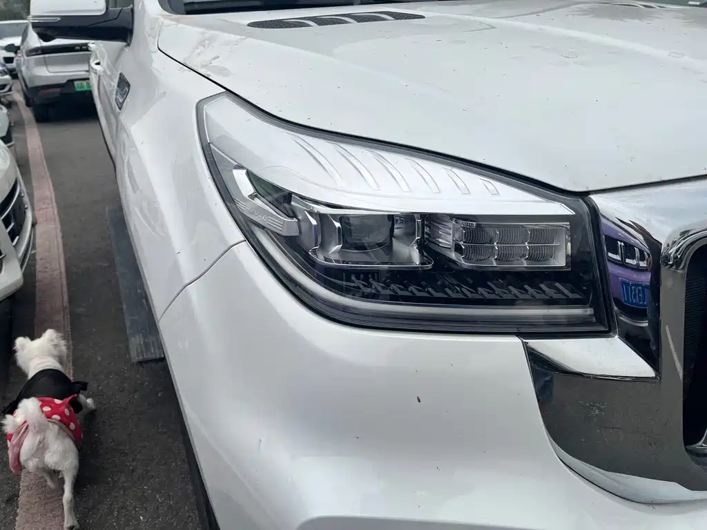 Haval H9 — миниатюра 4