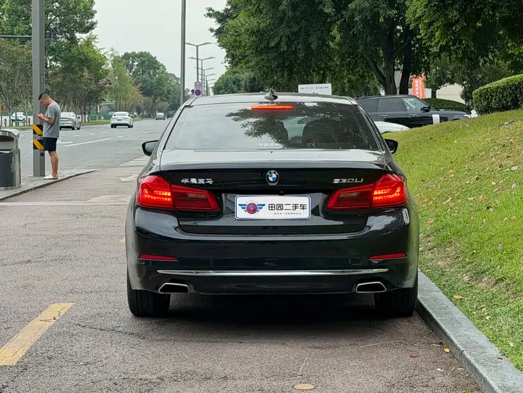 BMW 5 Series 5 2020 530Li Premium Luxury