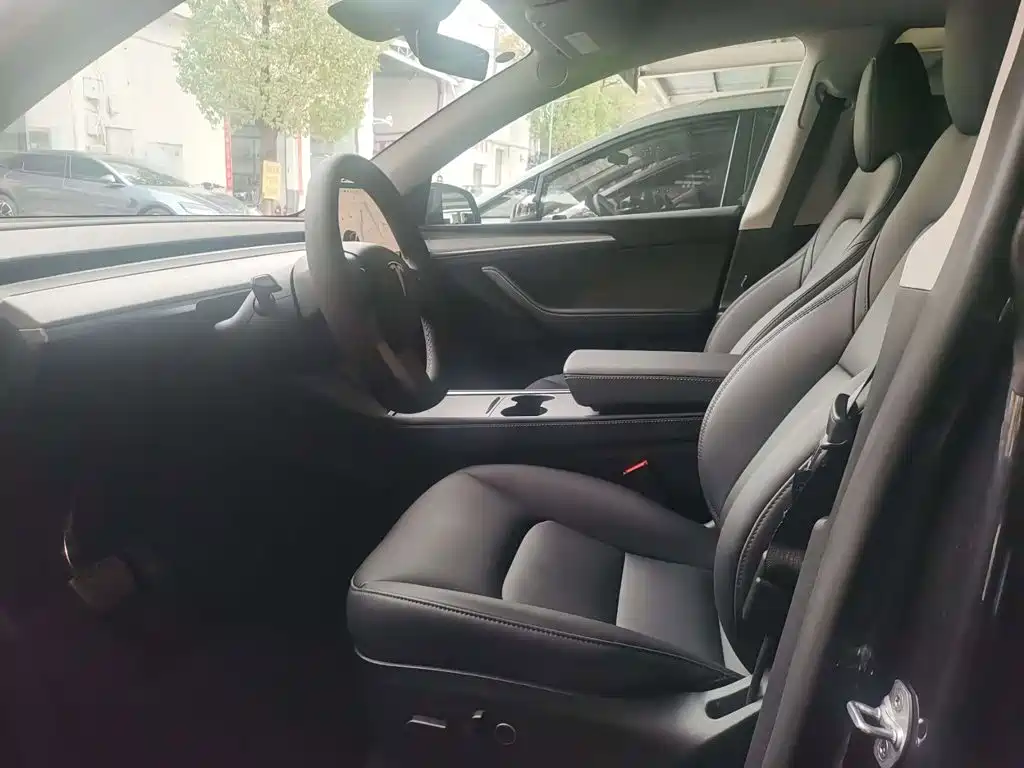Tesla Model Y — миниатюра 4