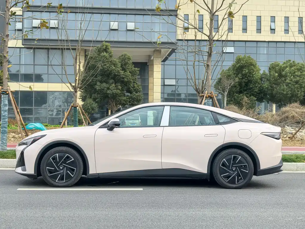 ARCFOX EXTREME FOX POLAR FOX ALPHA S5