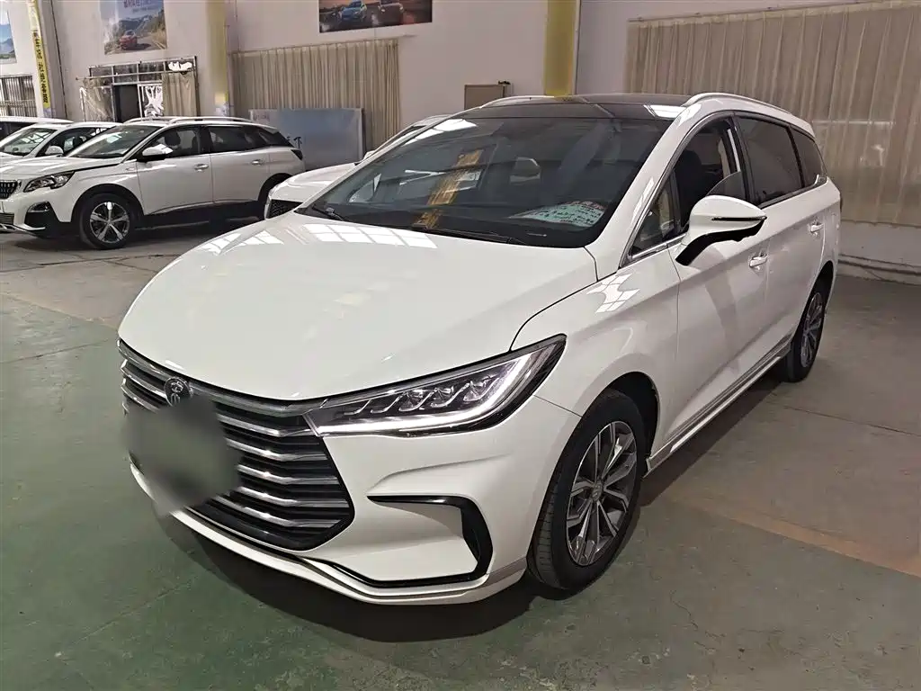 Byd MAX 2021