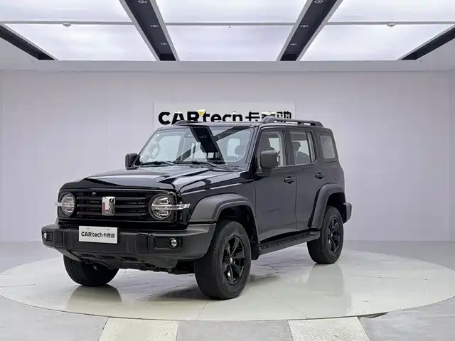 2025 TANK 300