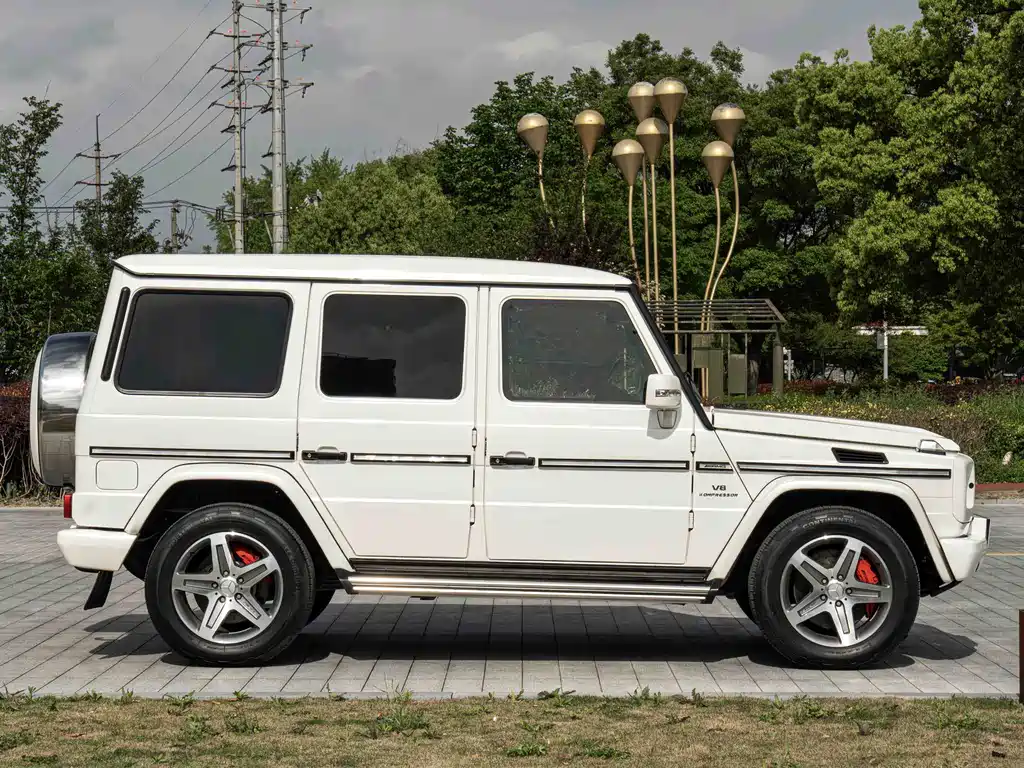 Mercedes-Benz G-Class A MG G AMG 2009 AMG G 55