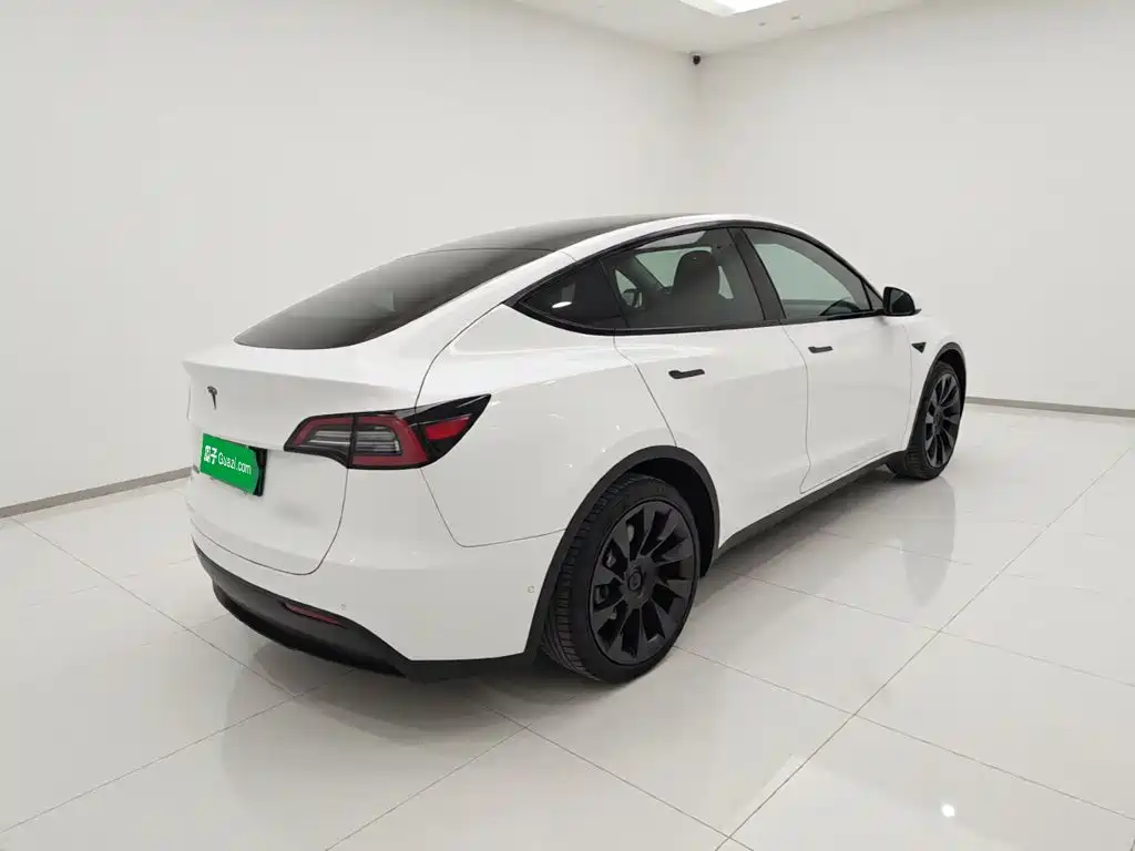 Tesla Model Y — миниатюра 4