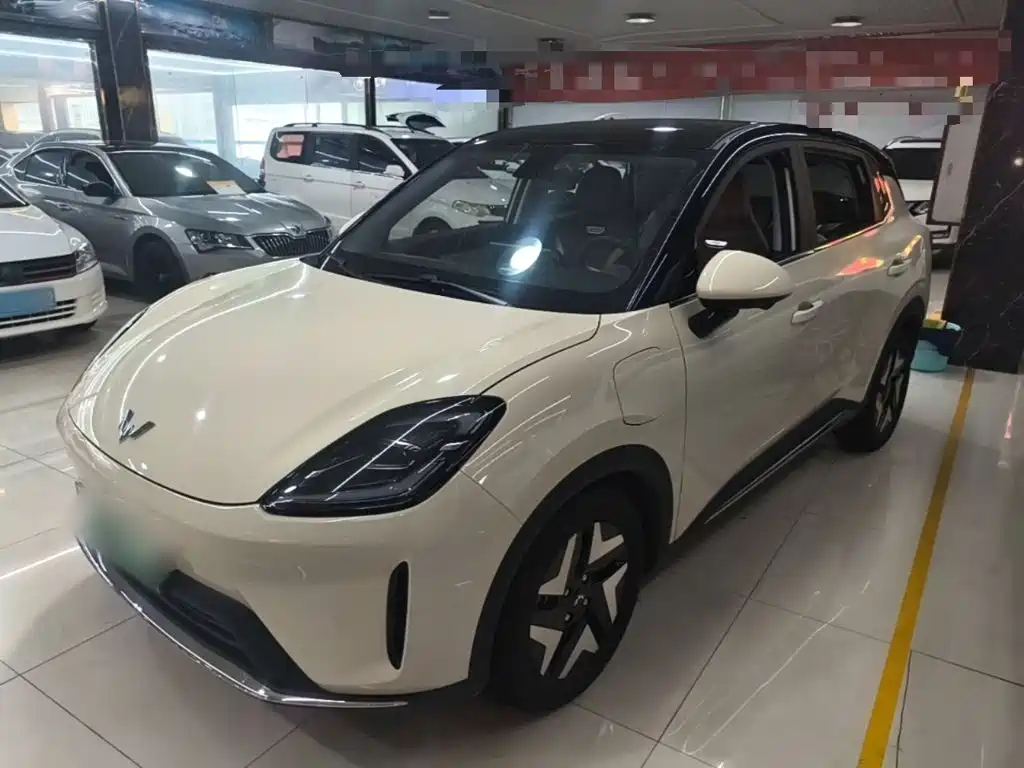 Wuling BinguoS S 2025 430km Flagship