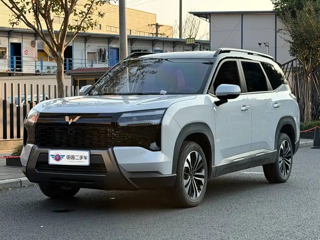 Wuling Xingguang 560 New Energy