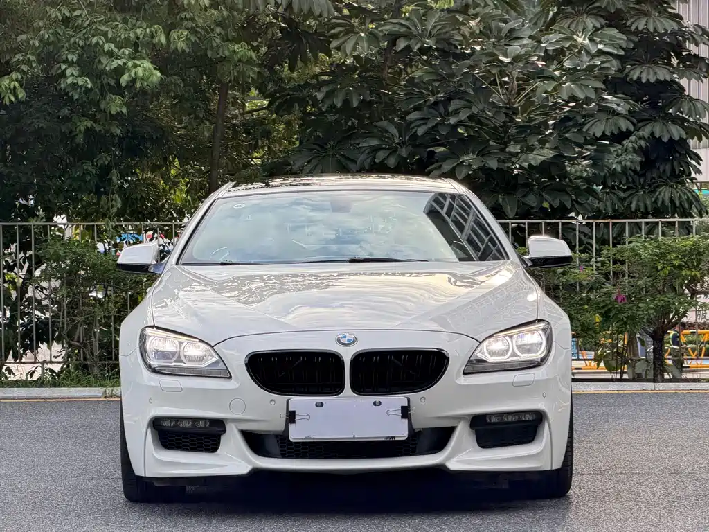 BMW 6 Series — миниатюра 2