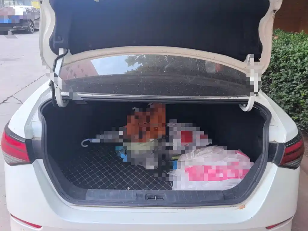 Nissan Sylphy — миниатюра 15