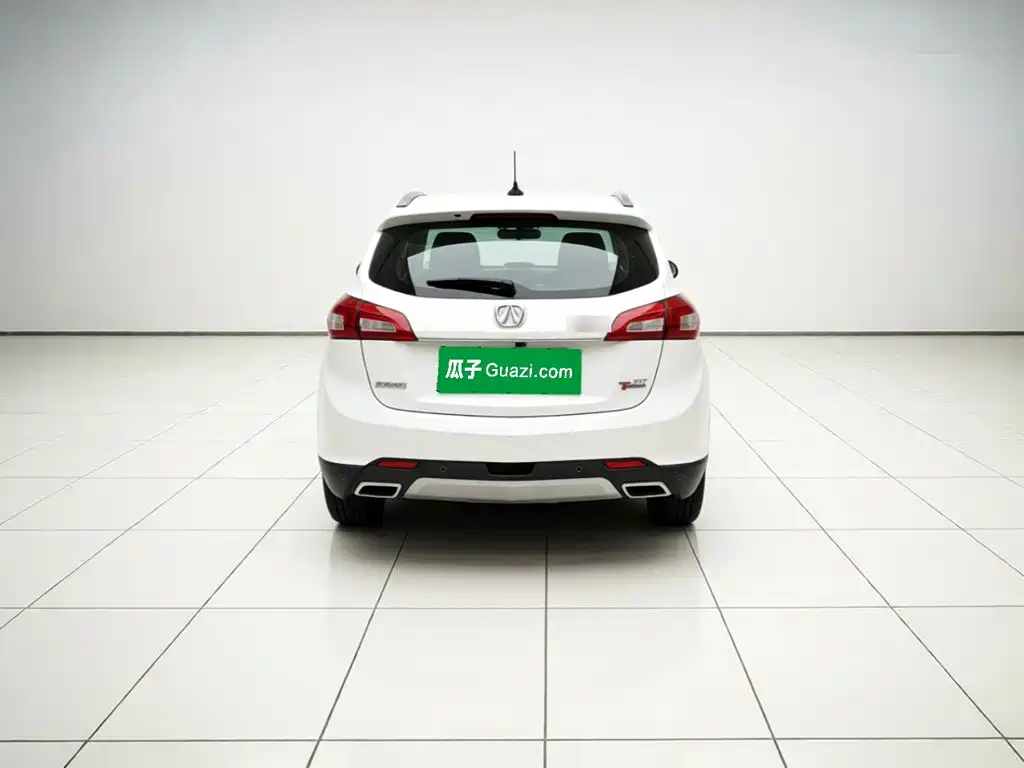 BAW Weiwang S50 — миниатюра 5