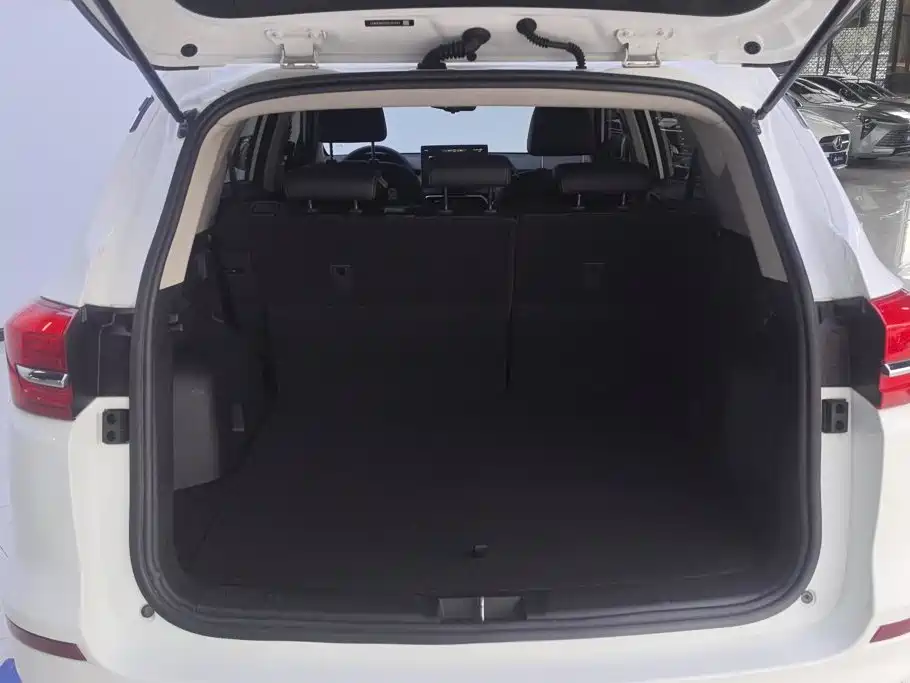 BYD Song — миниатюра 4