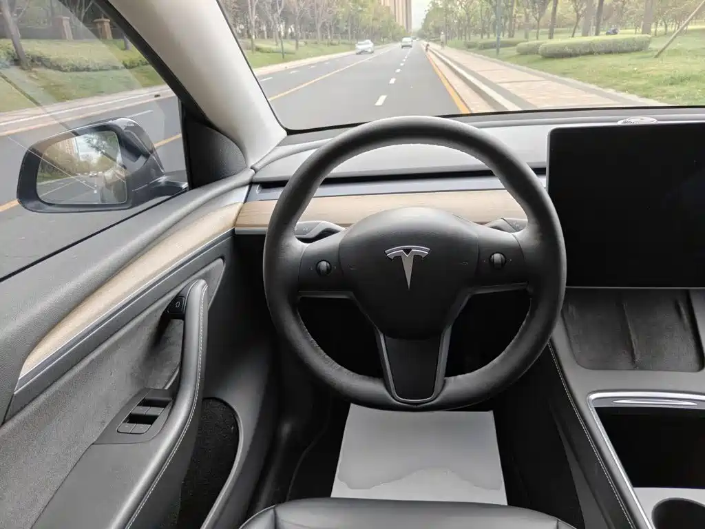 Tesla Model Y — миниатюра 11
