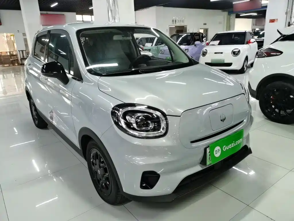 Leapmotor T03 2023 310
