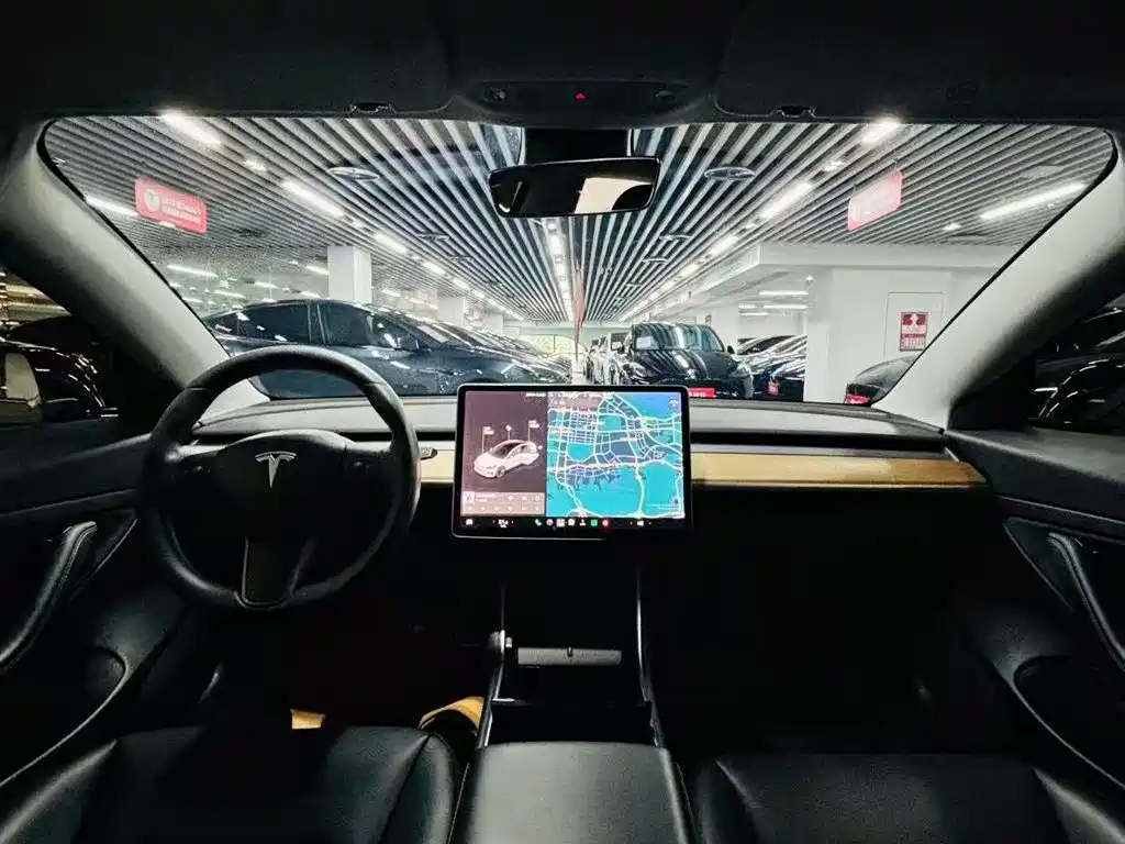 Tesla Model 3 — миниатюра 8