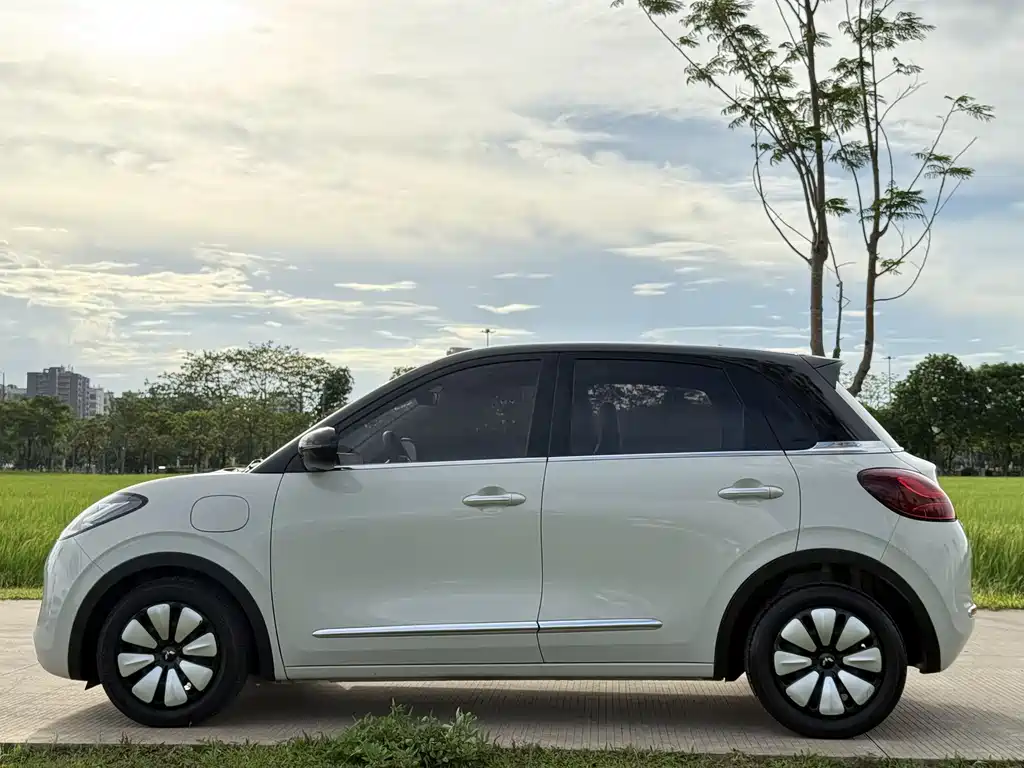 Wuling Binguo 2023 333km