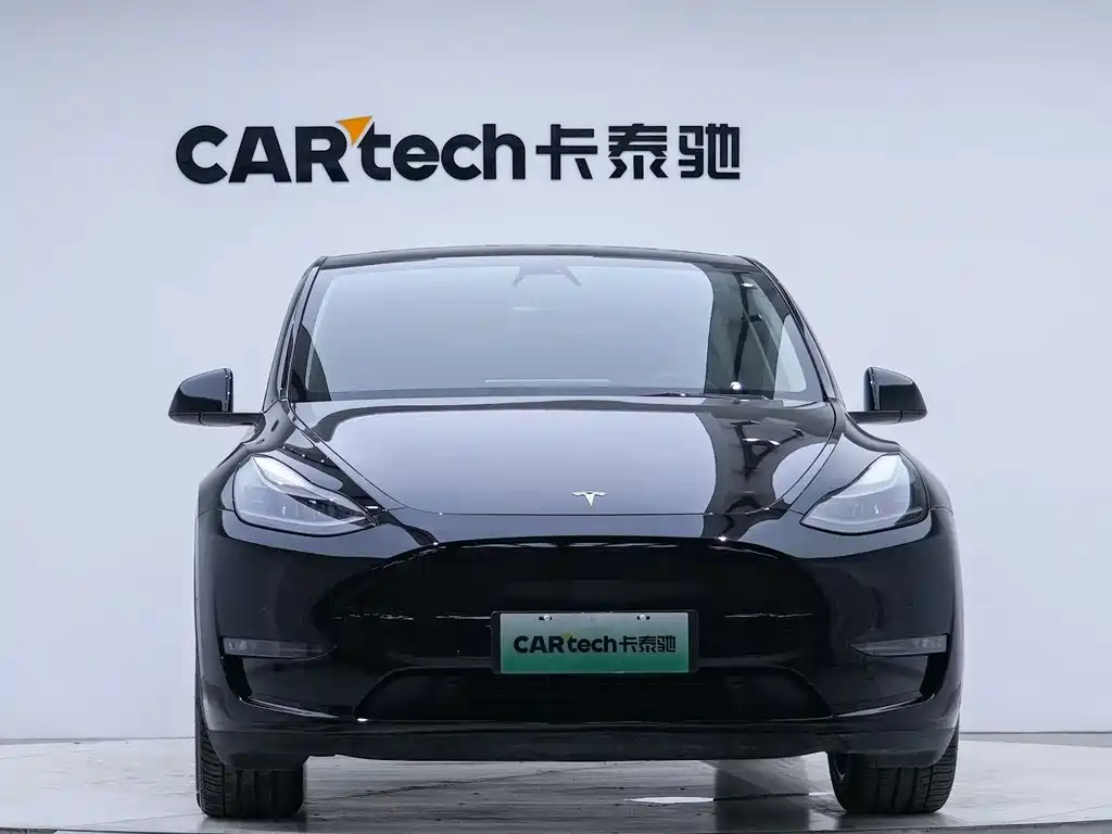 Tesla Model Y — миниатюра 6