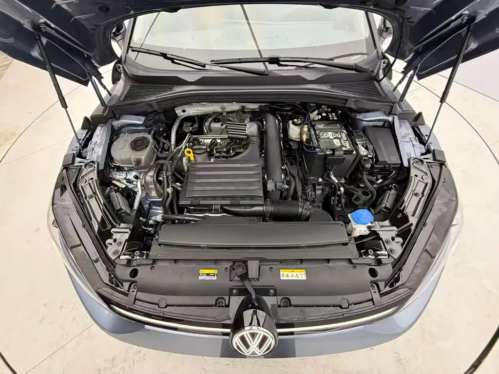 VOLKSWAGEN LINGDU