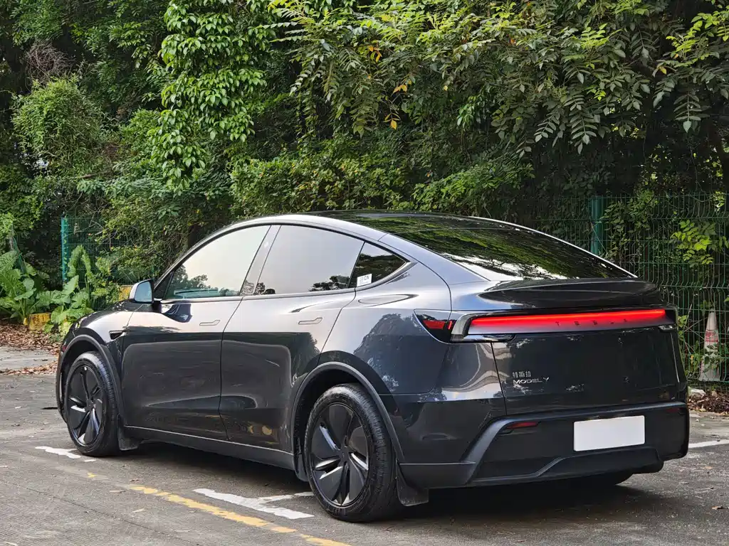 Tesla Model Y — миниатюра 4