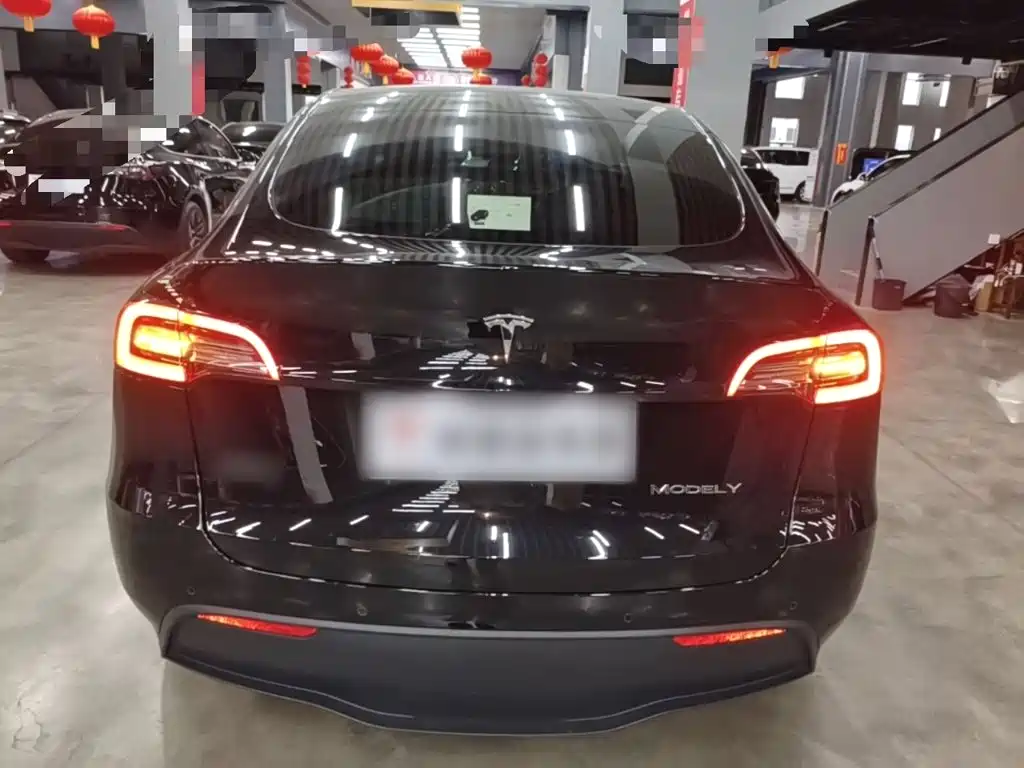 Tesla Model Y — миниатюра 6