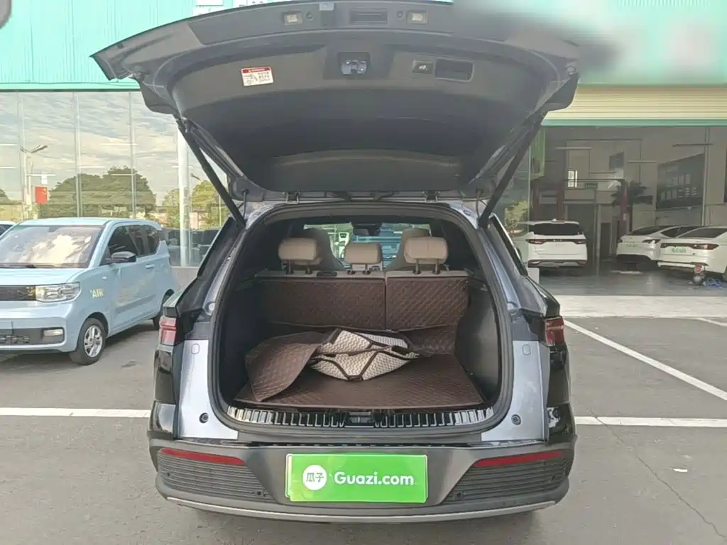 BYD Pro New Energy — миниатюра 19