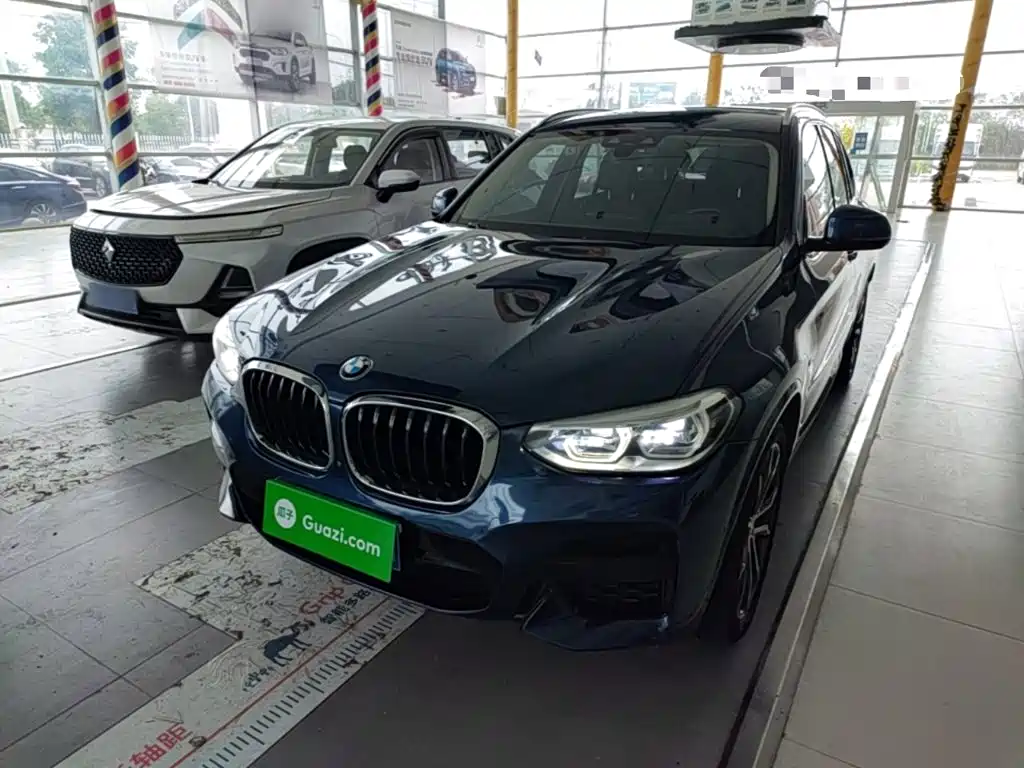 BMW X3 — миниатюра 2