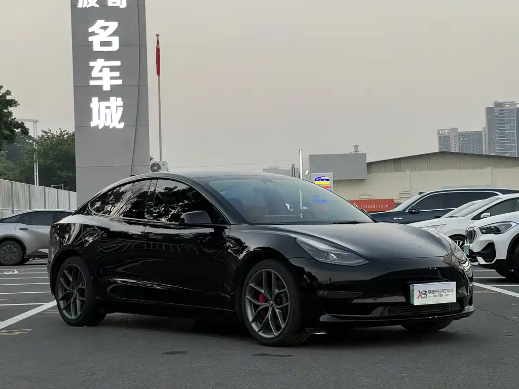 Tesla Model 3 — миниатюра 3