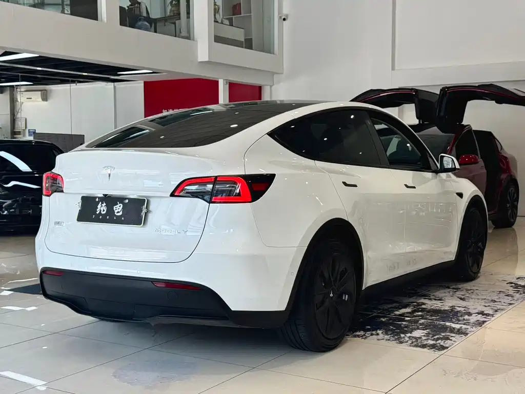 Tesla Model Y — миниатюра 12