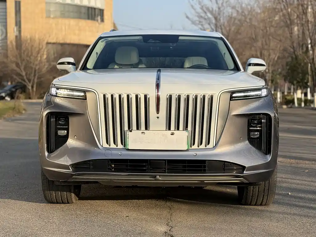 Hongqi HONGQI E HS9